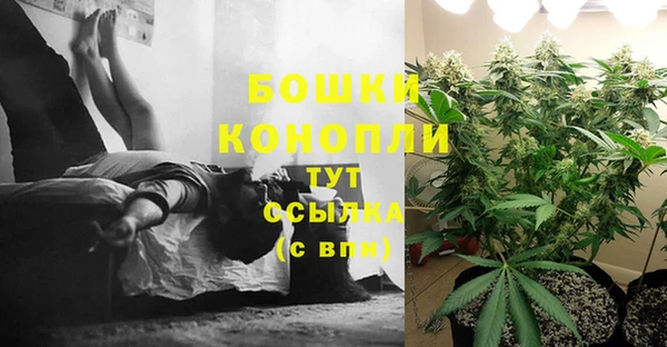 ГАЛЛЮЦИНОГЕННЫЕ ГРИБЫ Сосновоборск