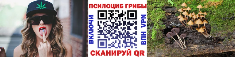 маркетплейс наркотические препараты  Челябинск  Псилоцибиновые грибы Cubensis  магазин продажи наркотиков 