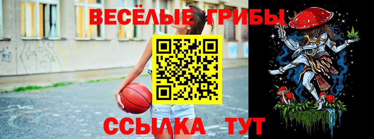 Псилоцибиновые грибы Psilocybine cubensis Челябинск